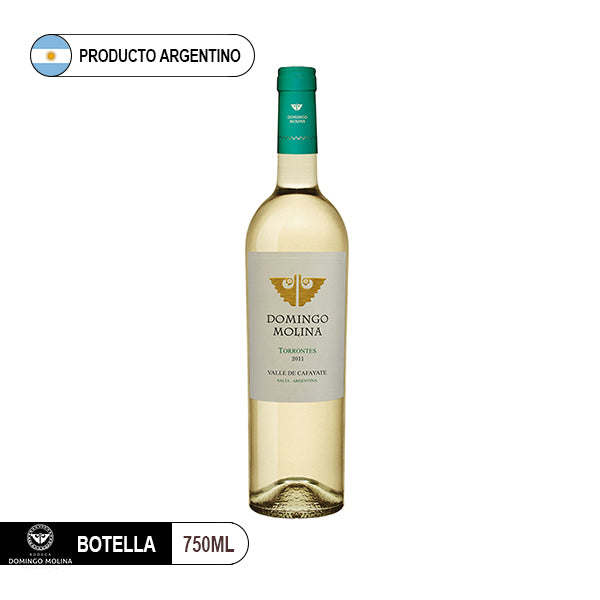 Domingo Molina Torrontes